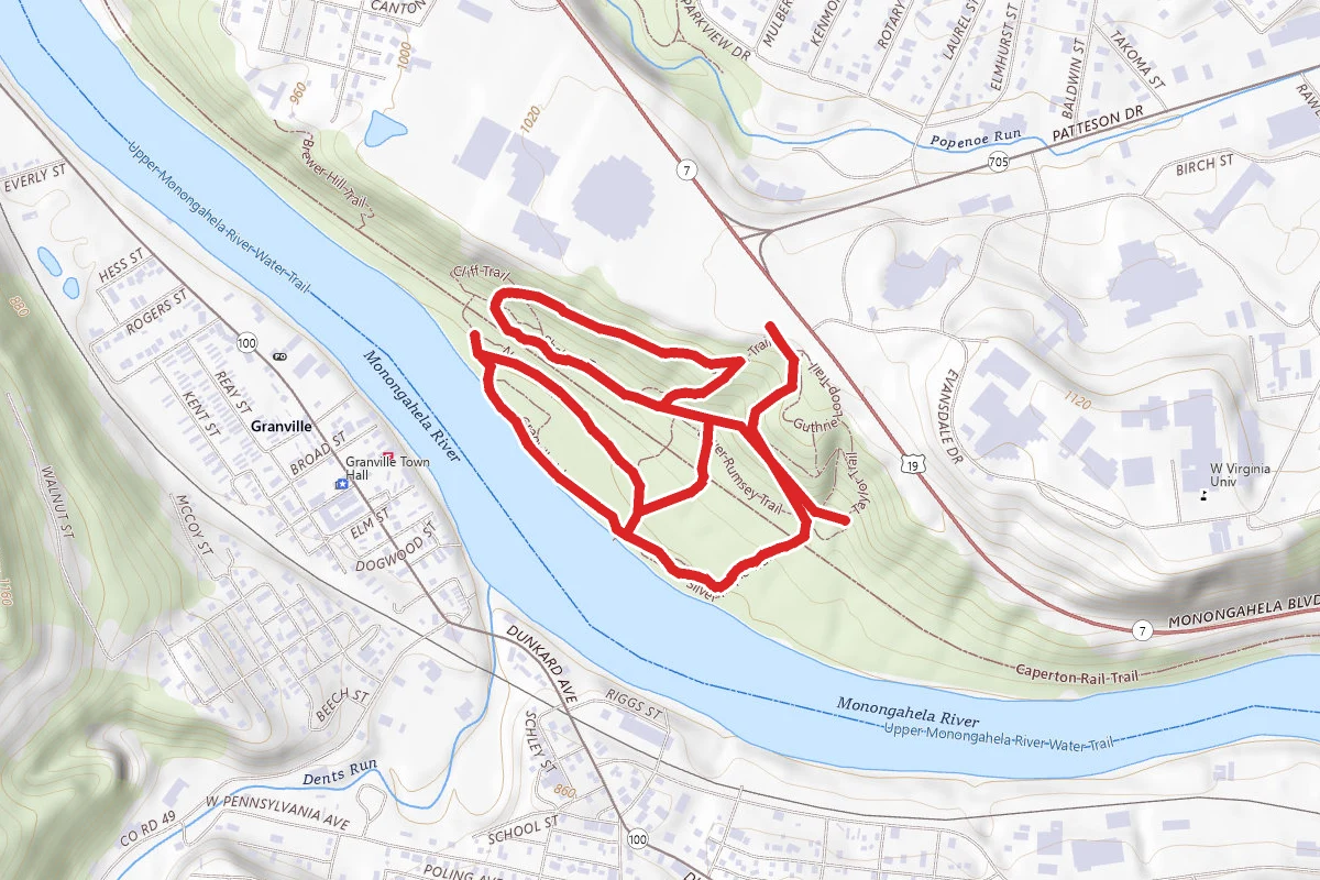 Silver Maple, Granville Island, Nuttail, Cliff and Strausbaugh Loop