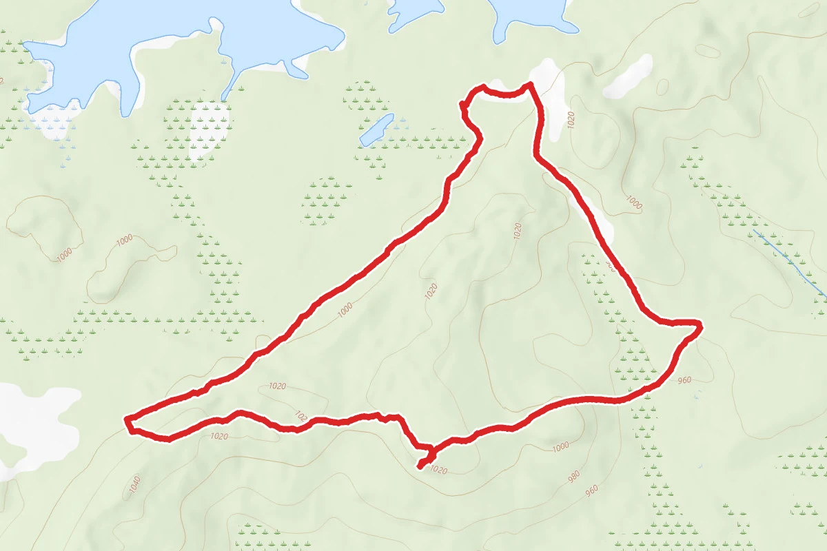 Flowage and Thunder Mountain Loop