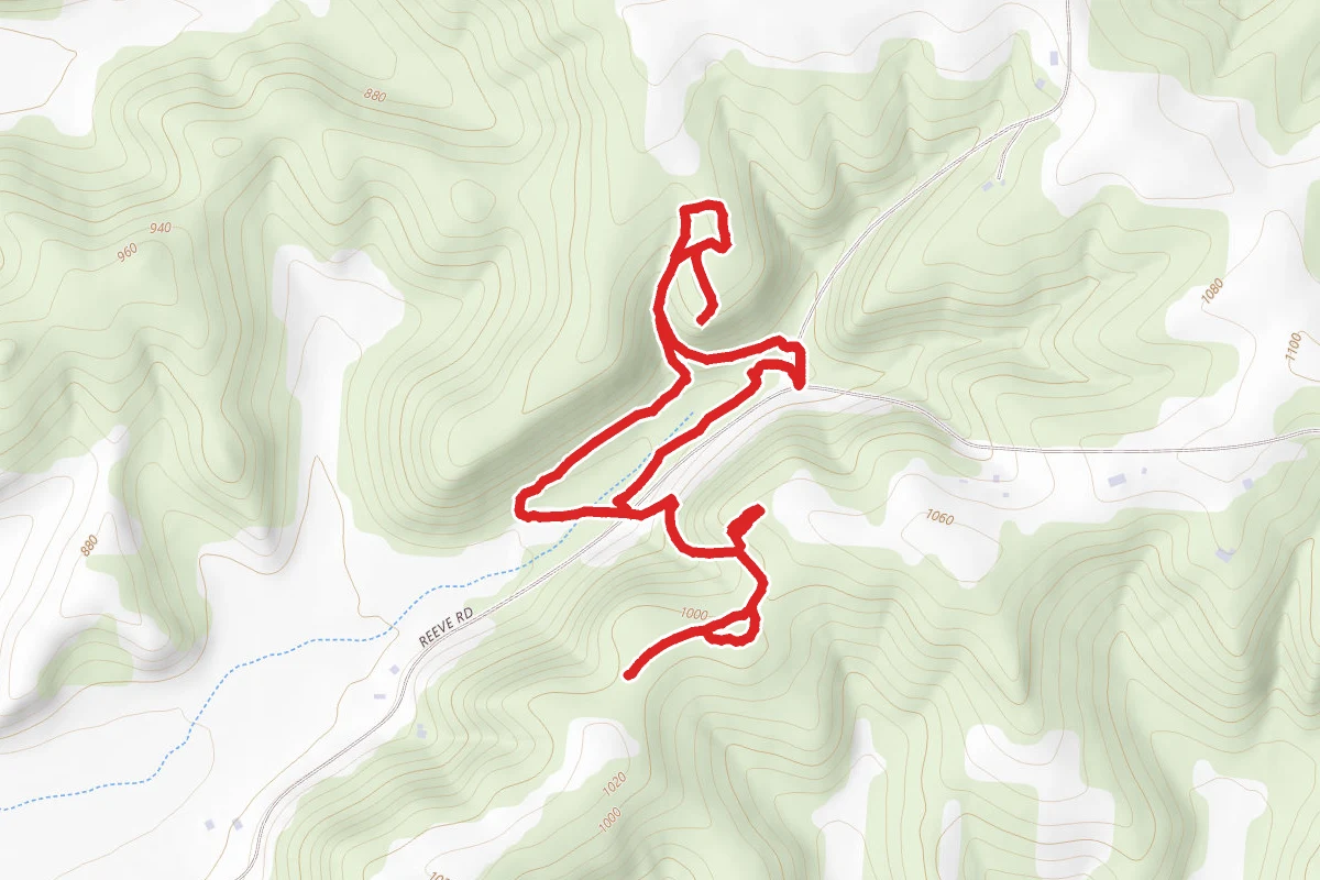 Morton Forest Trail