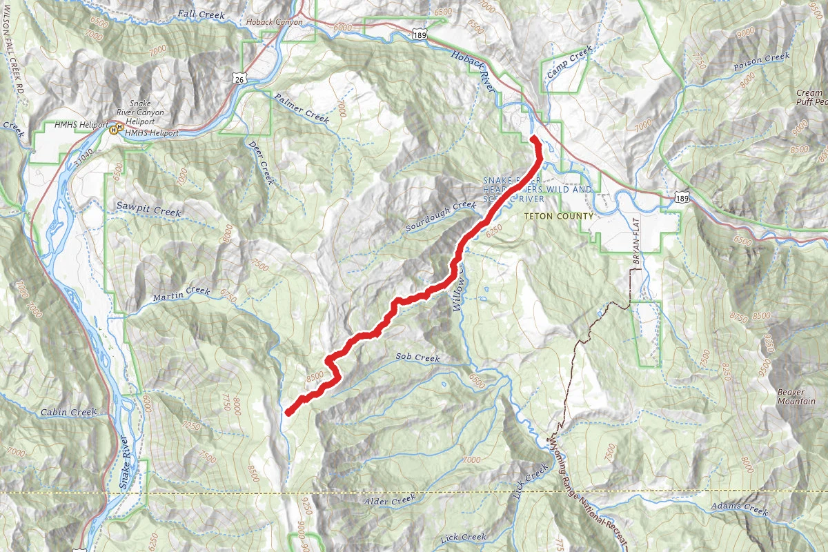 Martin Basin
