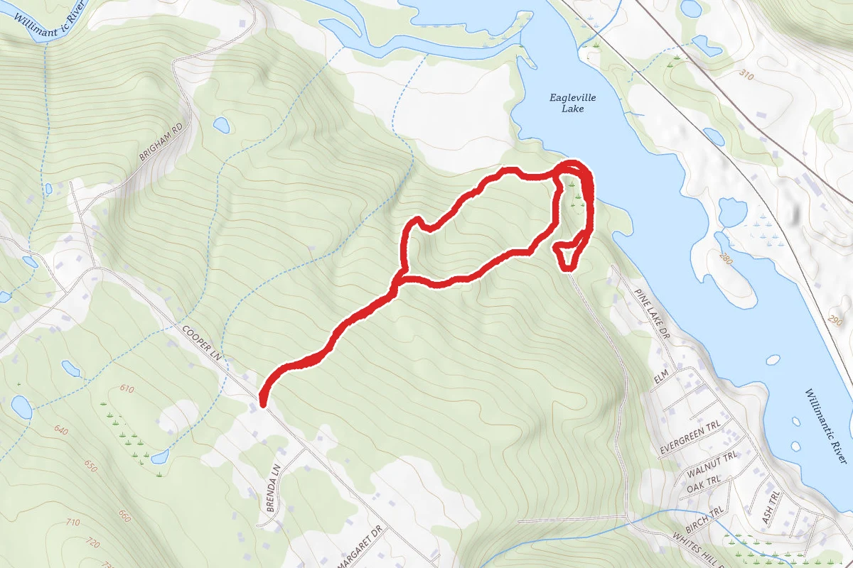 Williams Preserve Loop