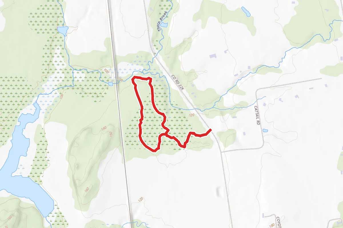 Williams Woods Trail
