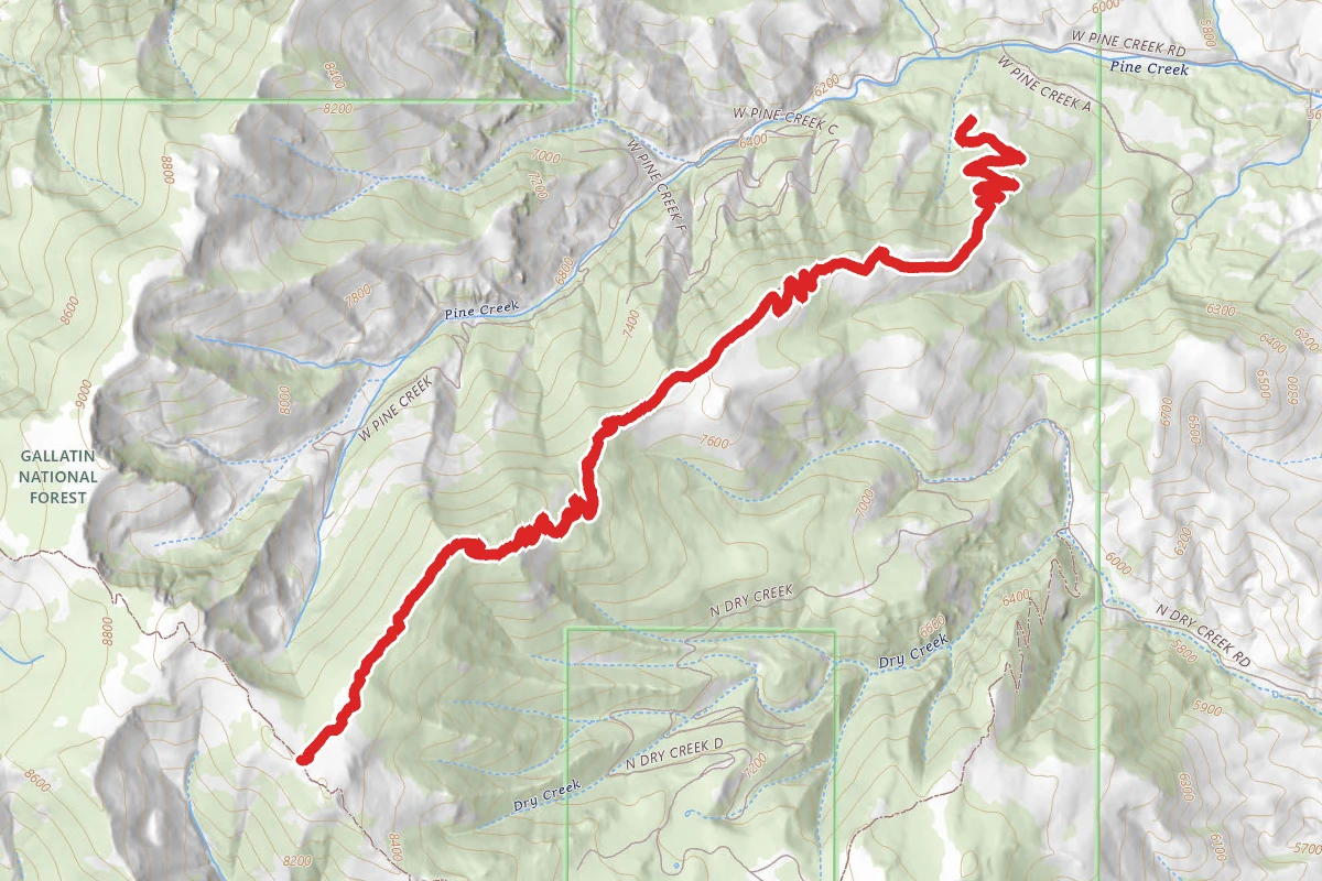 West Pine Creek #139