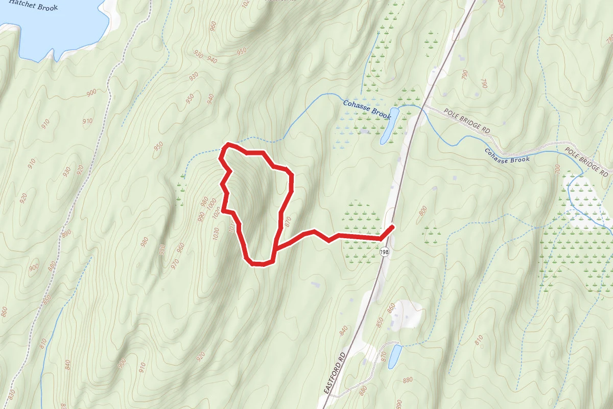 Lem Walker Loop
