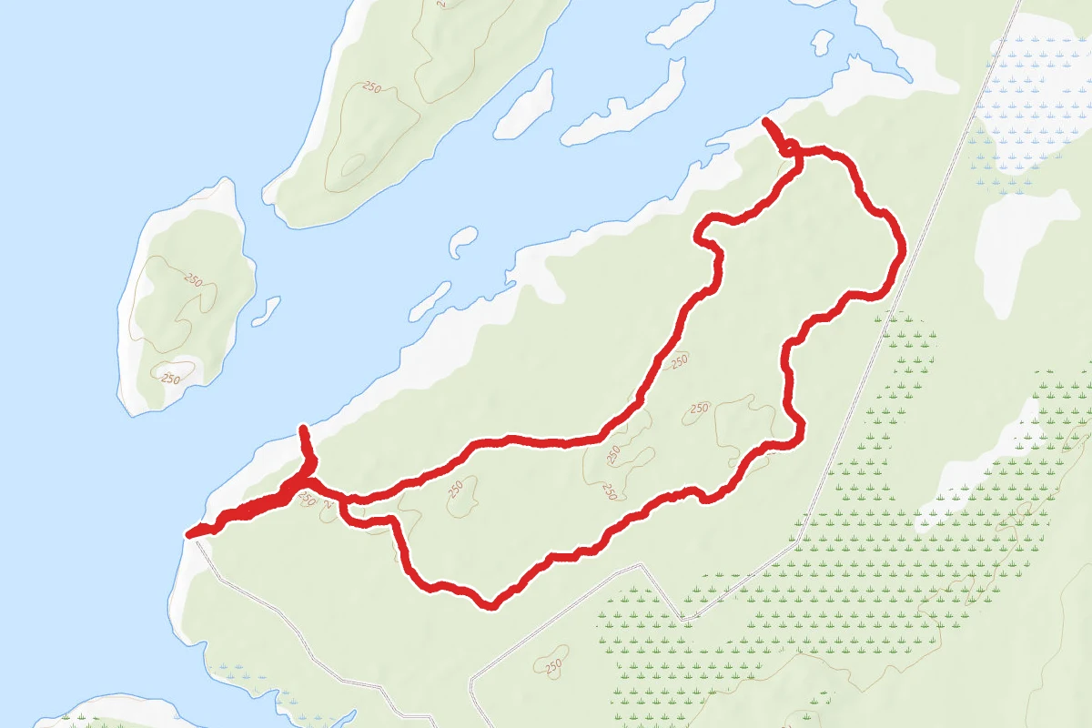 Nichols Trail