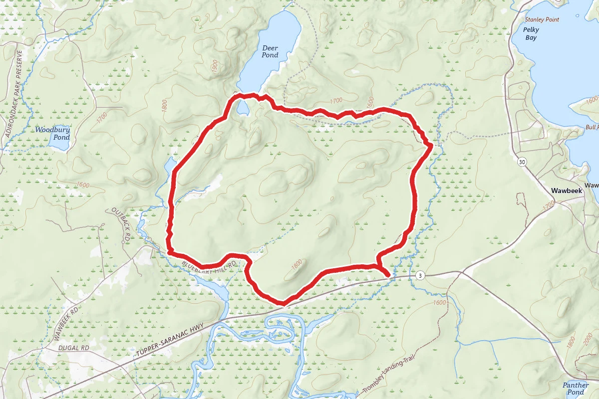 Deer Pond Loop
