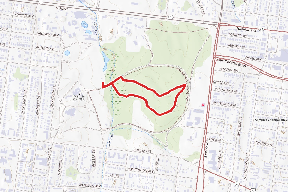 Old Forest Loop