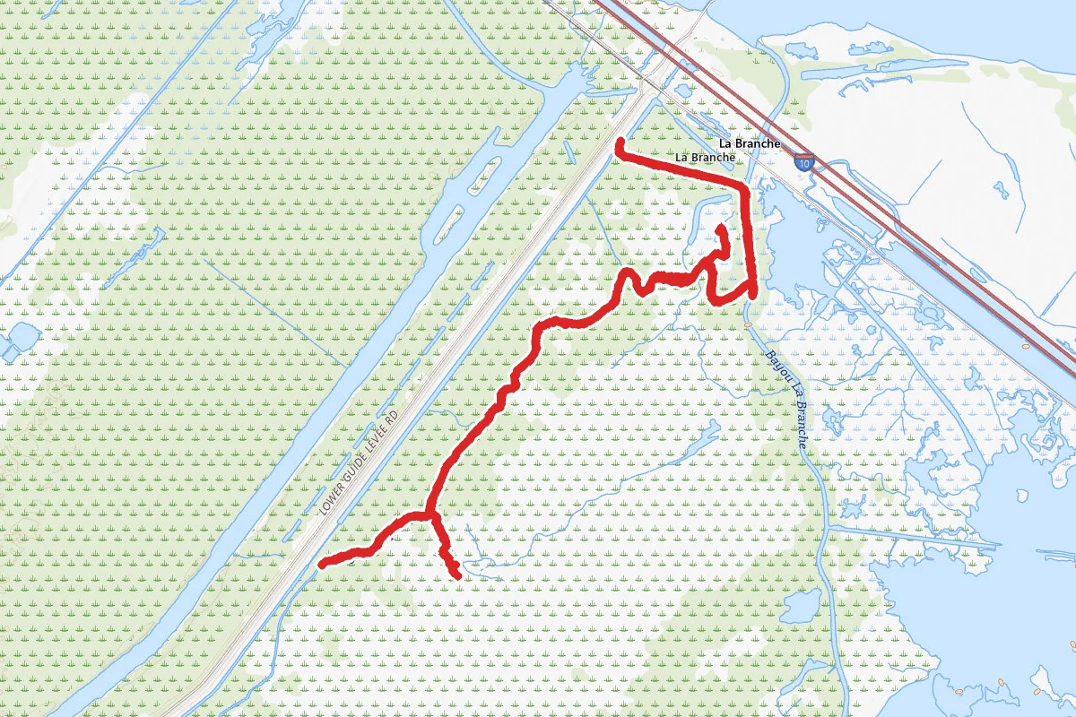 Bayou Trepagnier in the Labranche Wetlands