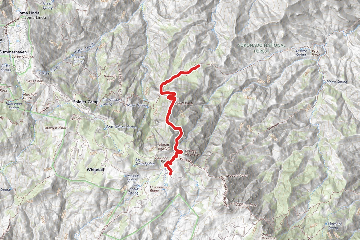 Davis Springs Trail