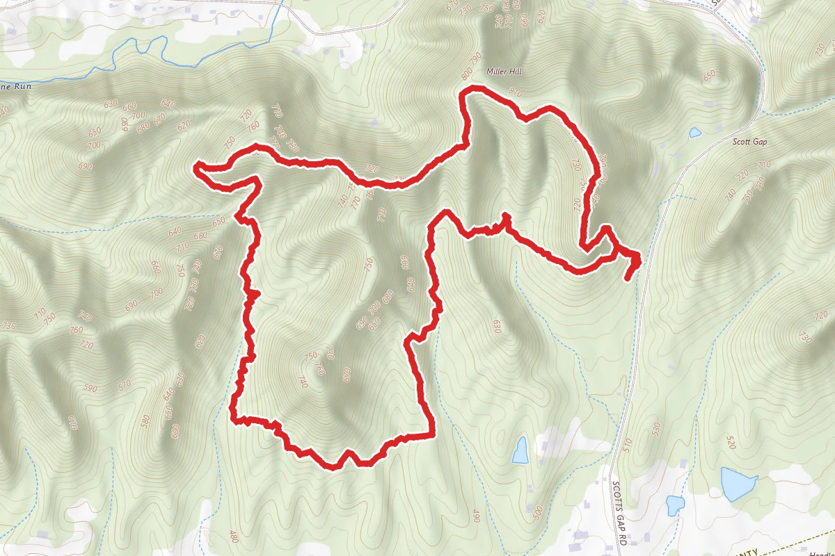 Scotts Gap Loop Trail