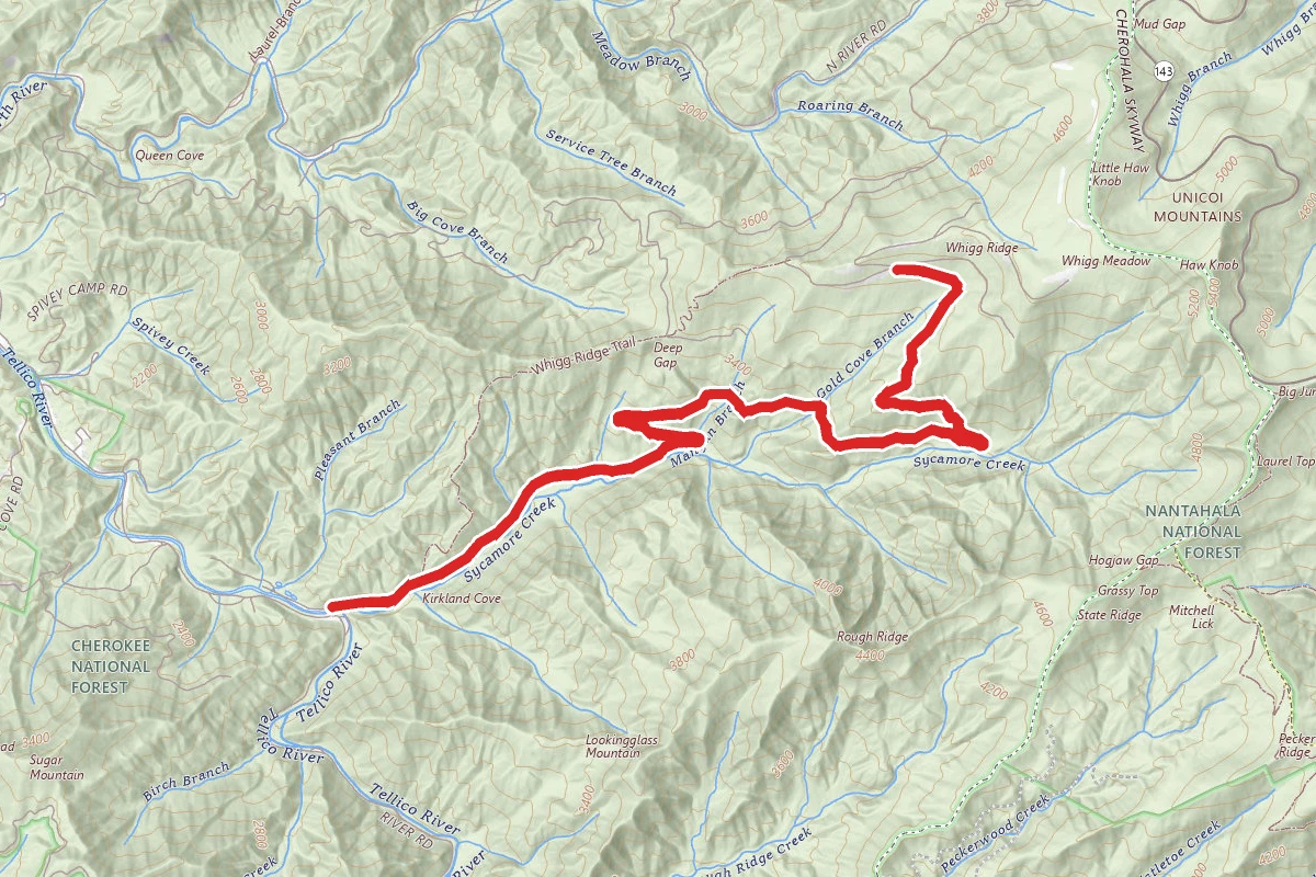 Sycamore Trail from Pheasant Field to Mud Gap Road