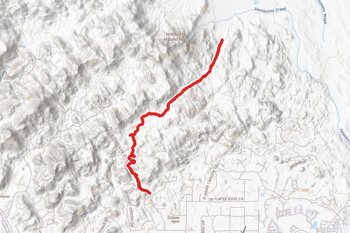 Cougar Canyon Maus Trail