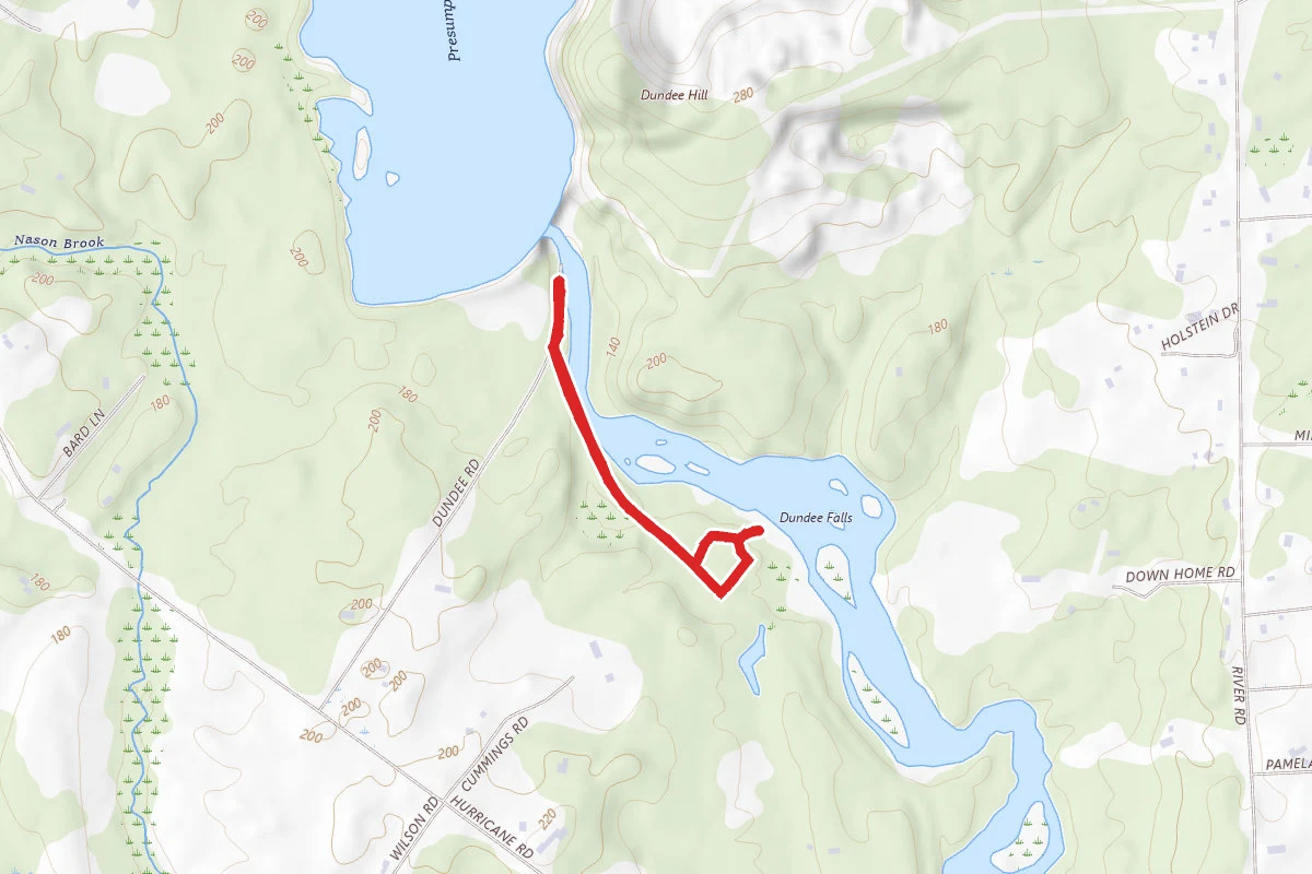 Cummings Preserve Loop