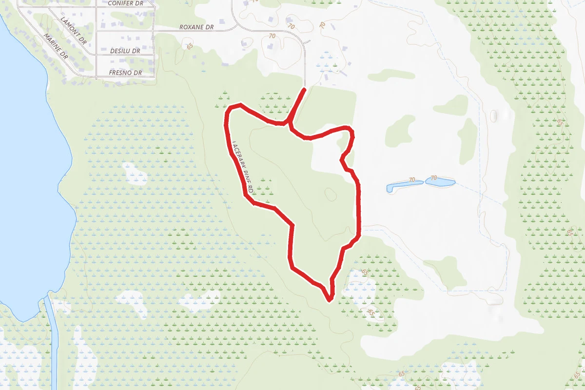 Isle of Pine Blue Trail