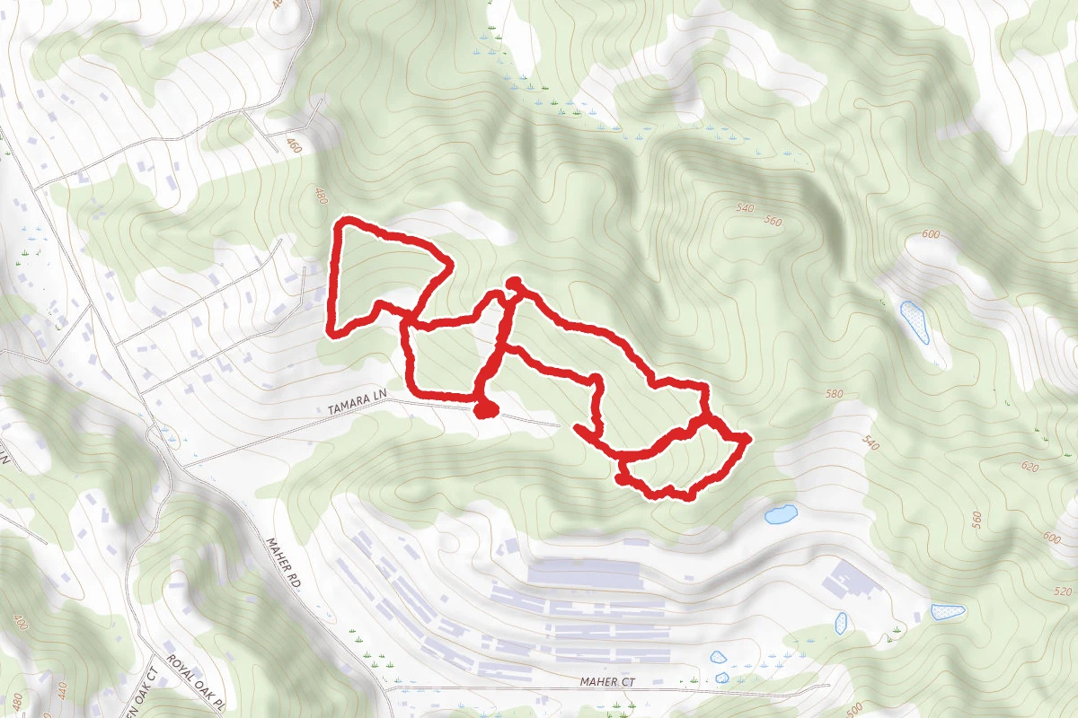 Royal Oaks County Park Trails