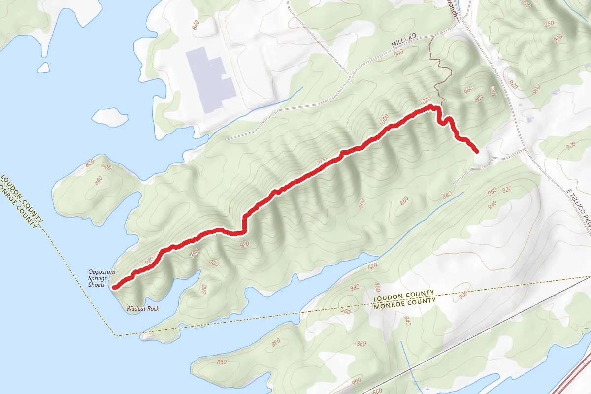 Wildcat Point Trail