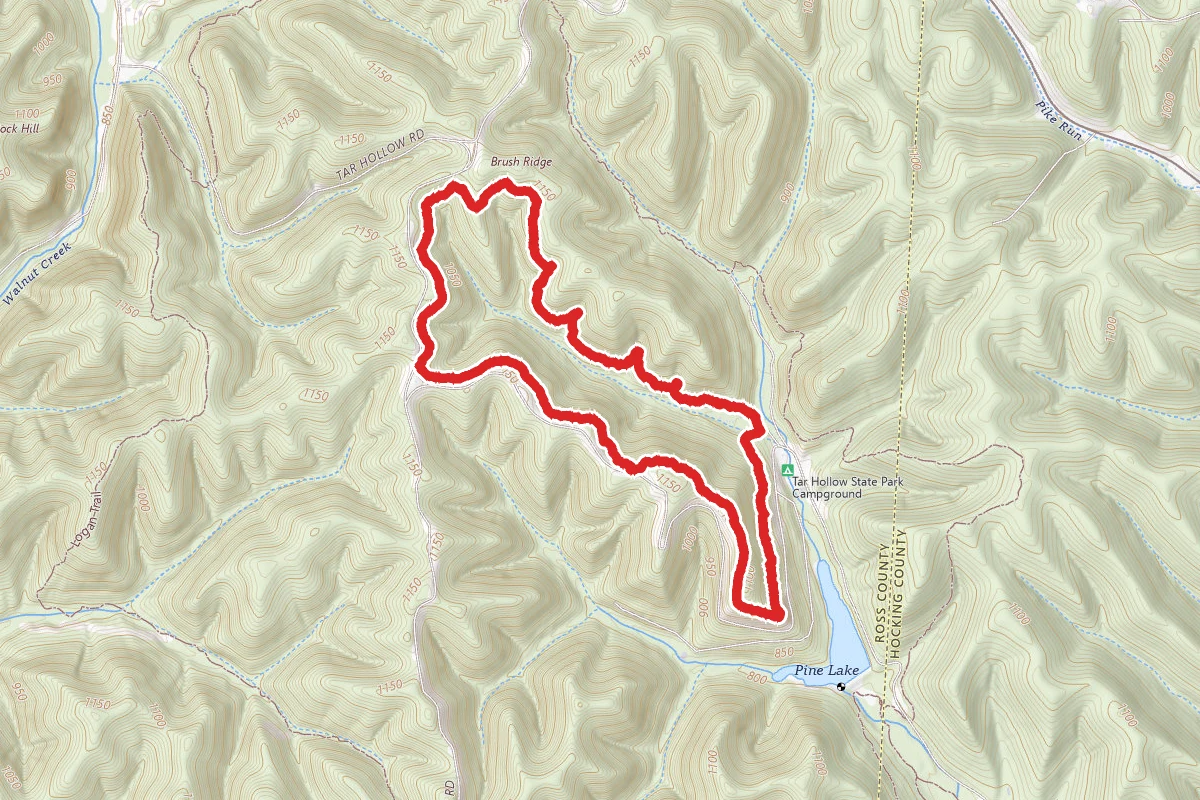 Ross Hollow