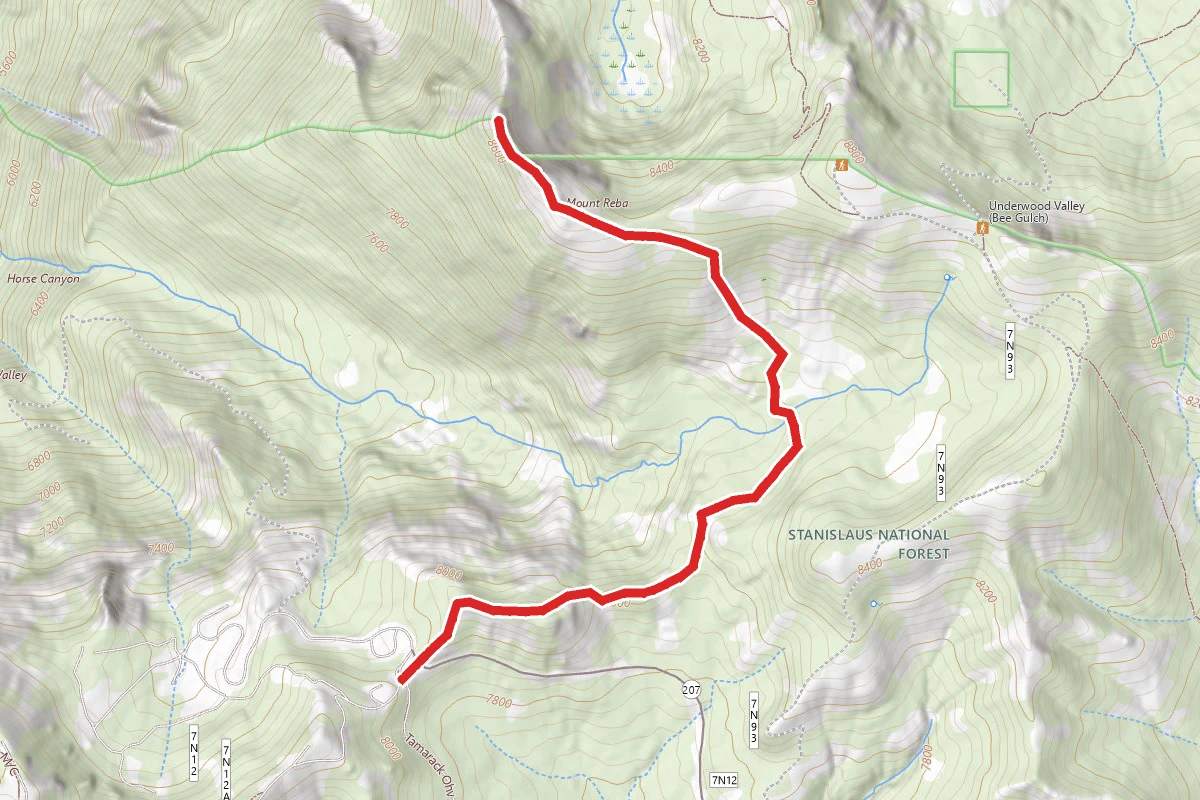 Mount Reba Backcountry Ski Route