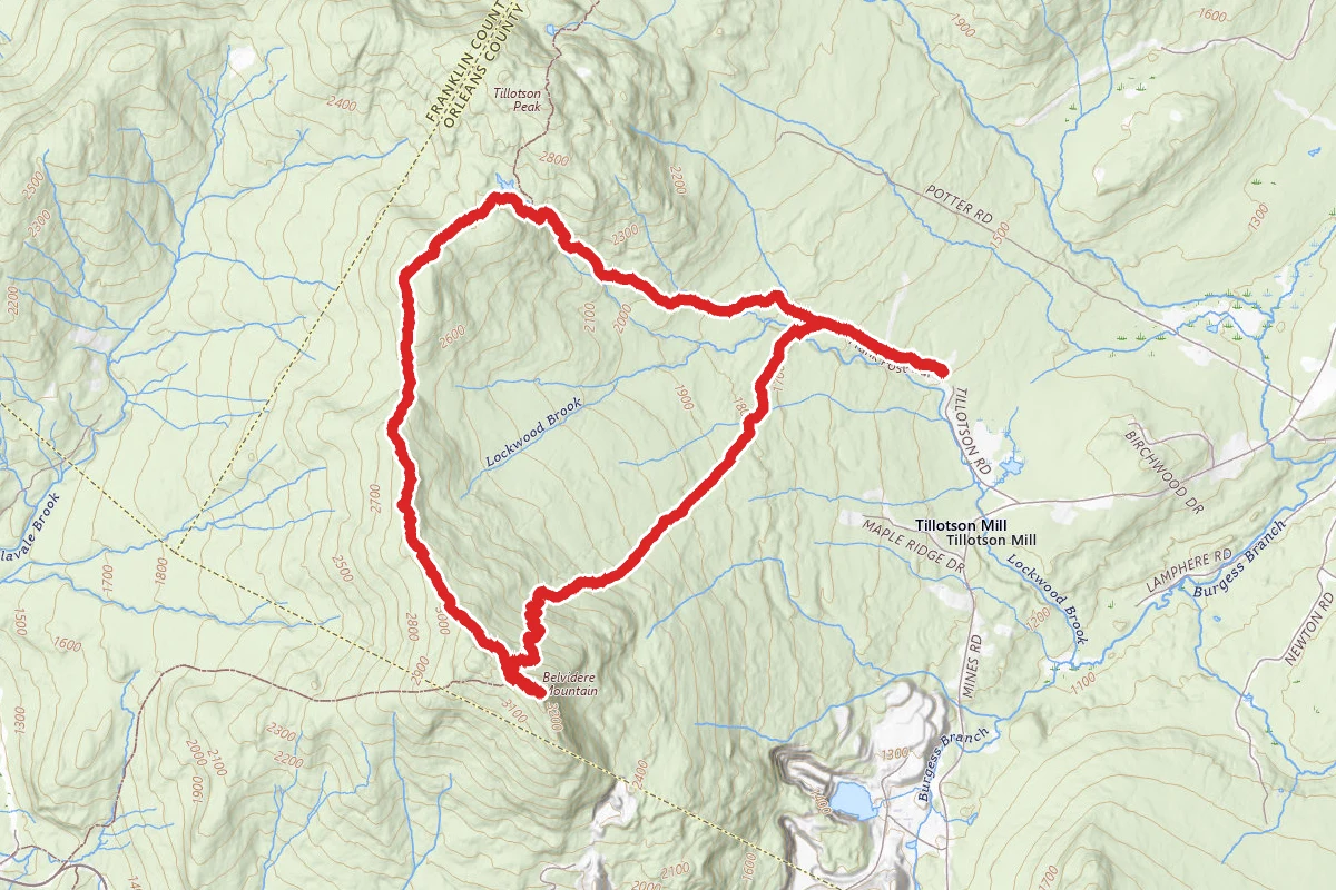 Belvidere Mountain via Frank Post Trail, Long Trail, and Forester Trail