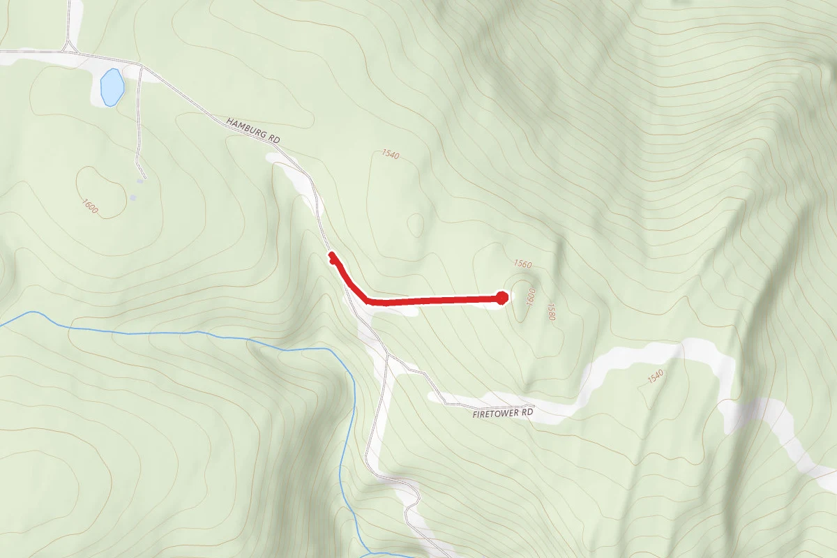 Firetower Road Trail