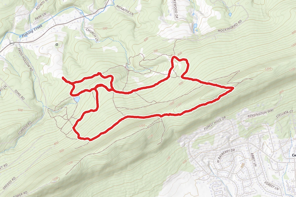 Darlington Trail Loop