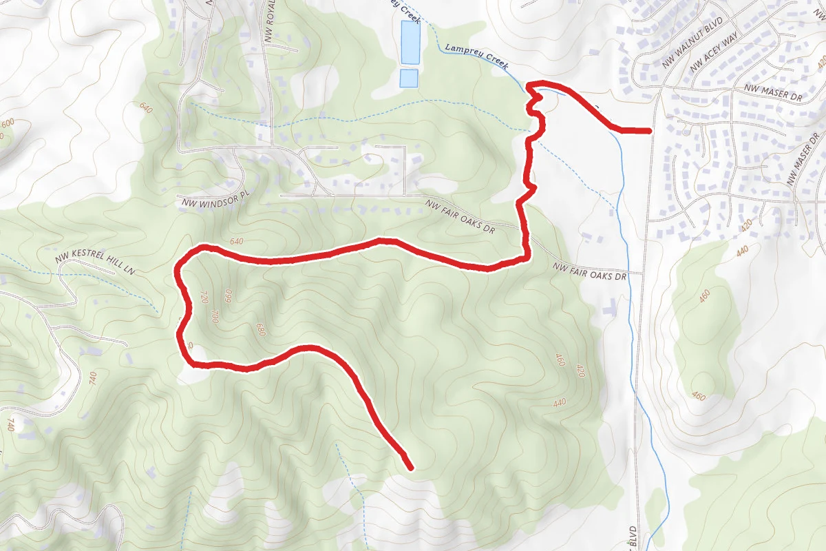 MLK Park to Bald Hill View Trail