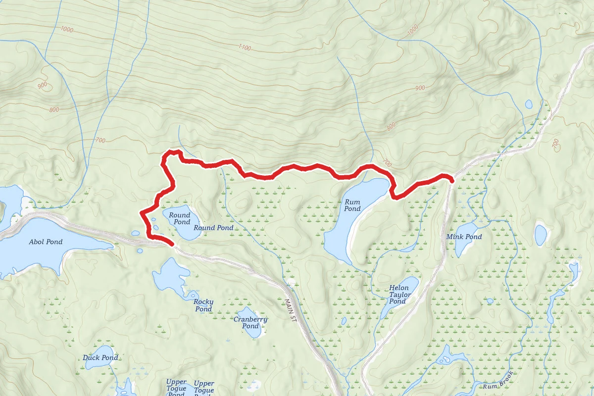 Rum Pond Trail