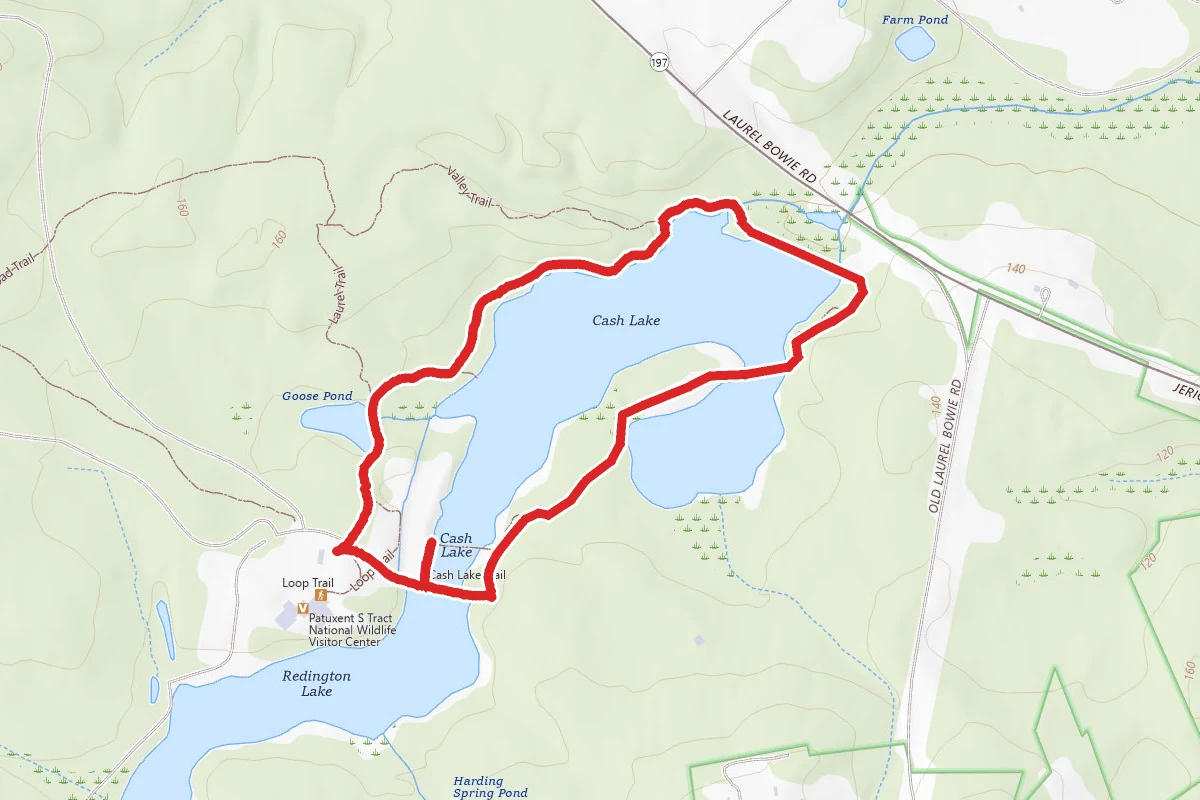 Cash Lake Loop Trail