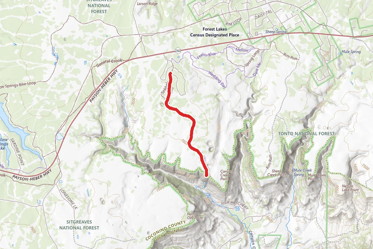 Canyon Point Rim Trail