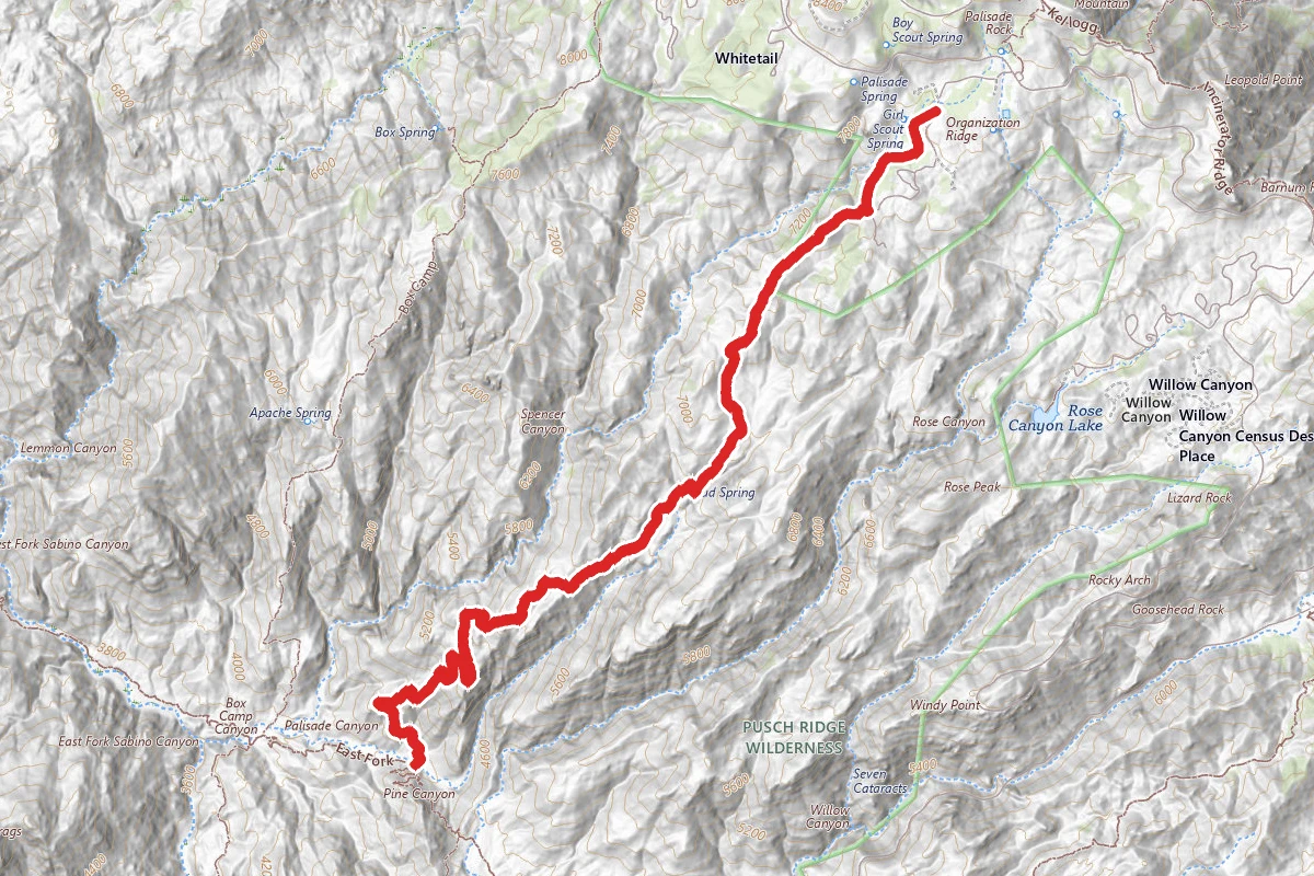 Palisade Trail to East Fork Trail