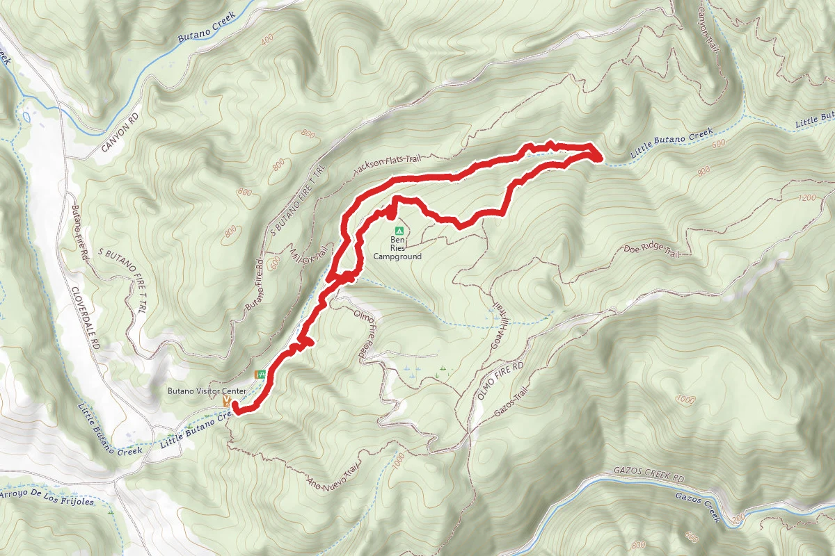 Six Bridges Trail and Little Butano Creek Loop
