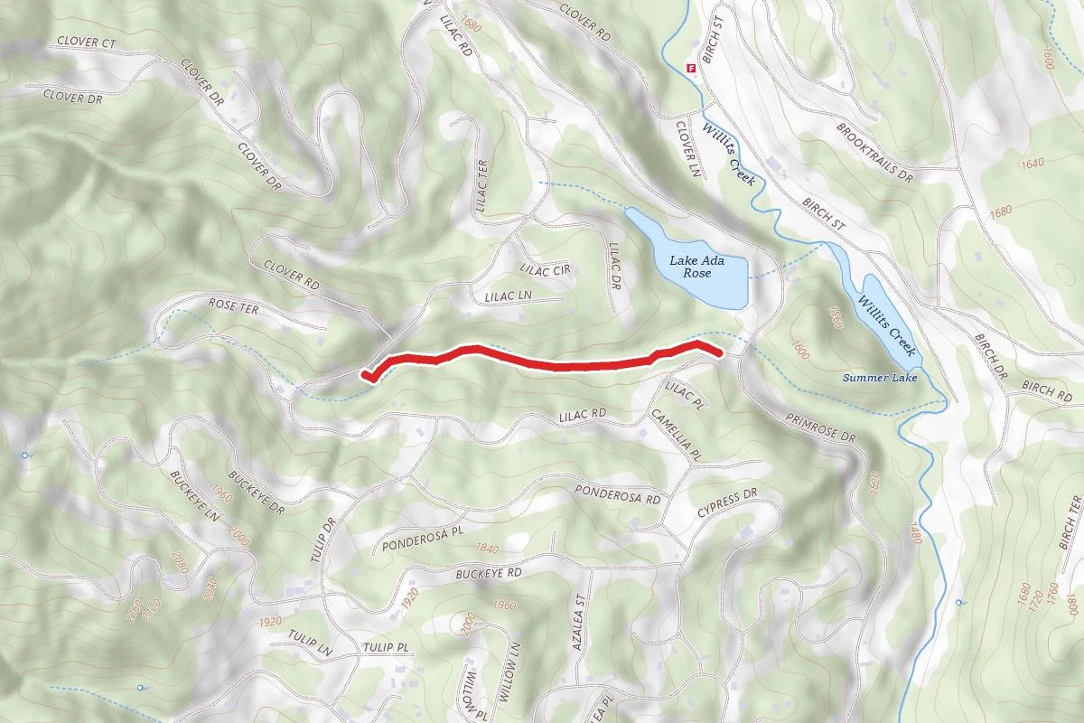 Mike's Trail