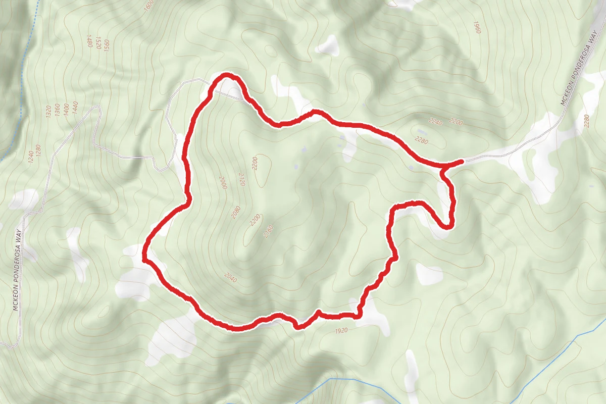 McKeon Ponderosa Loop