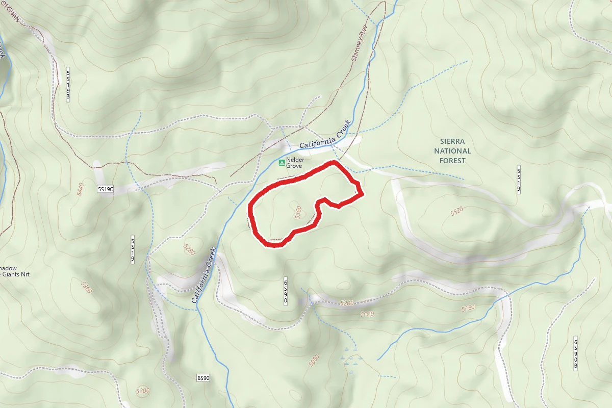 Bull Buck Loop