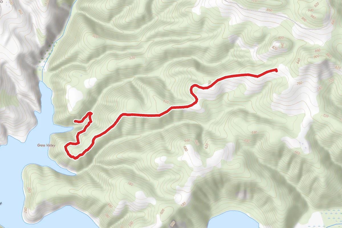 Lost Ridge to Quail Trail