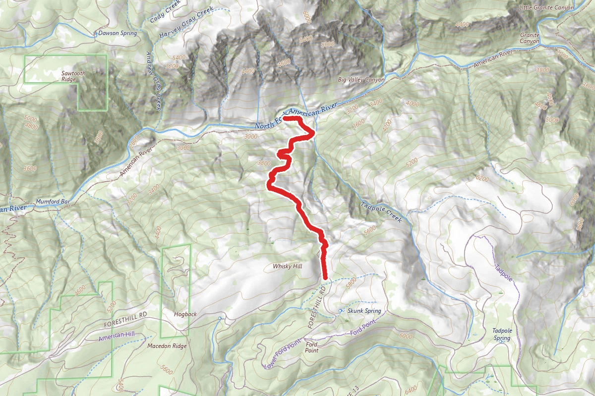 Beacroft Trail