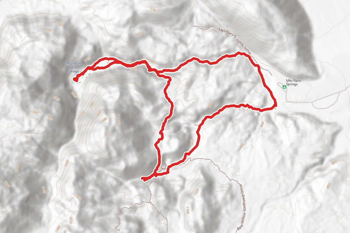 Mountain Palm Loop