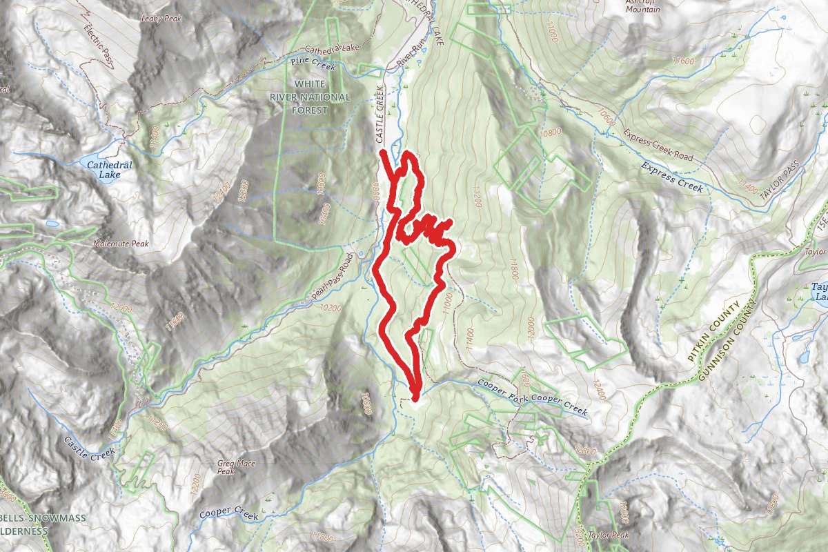 Lindley Hut Cooper Creek Road Loop