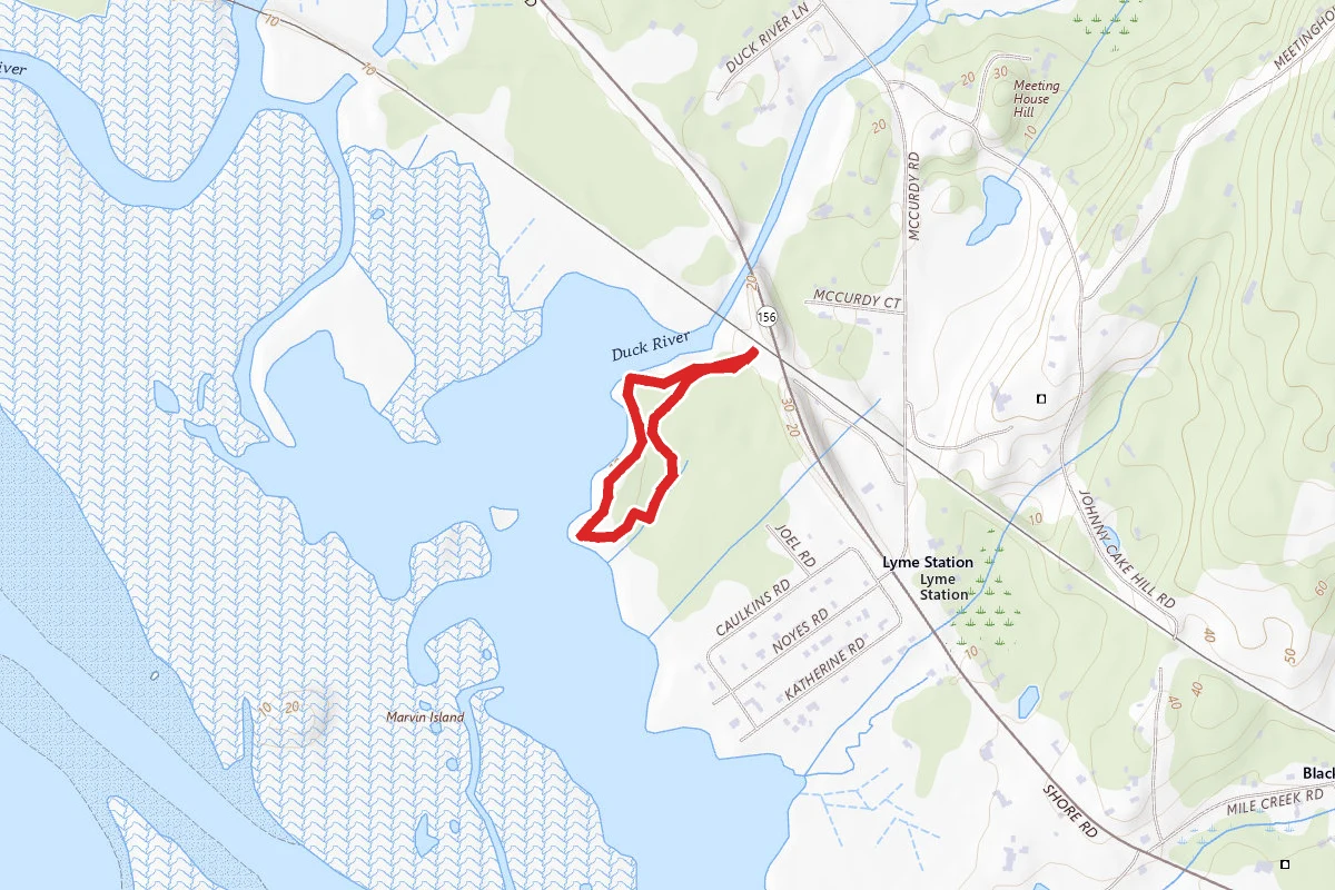 Great Island Estuary and the Great Island Wildlife Management Area
