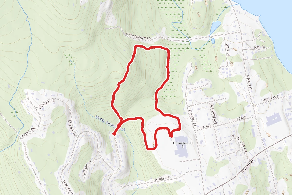 Spice Hill Woods