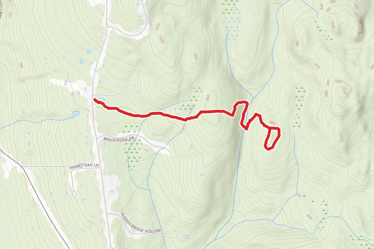 Canton Town Orange Blaze Trail