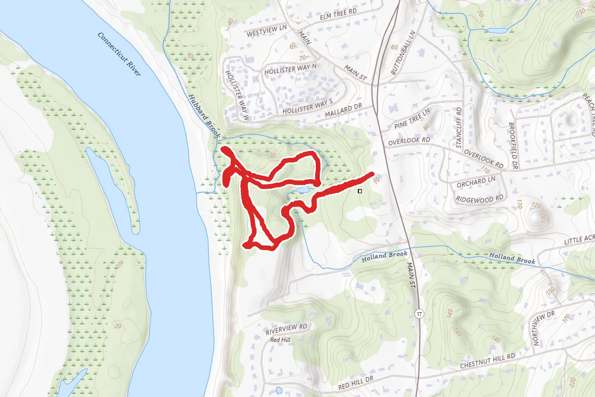 Oak Forest and Holland Brook Trail