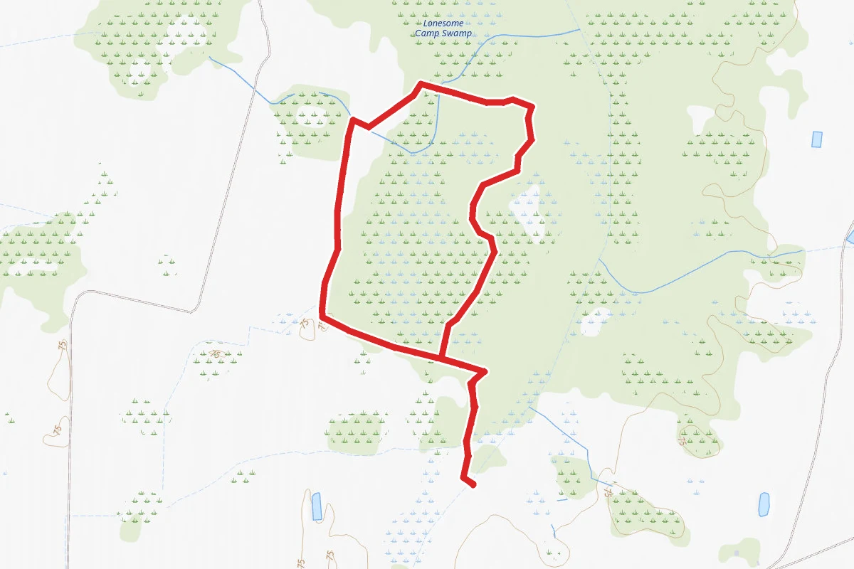 Camp Lonesome Loop Trail