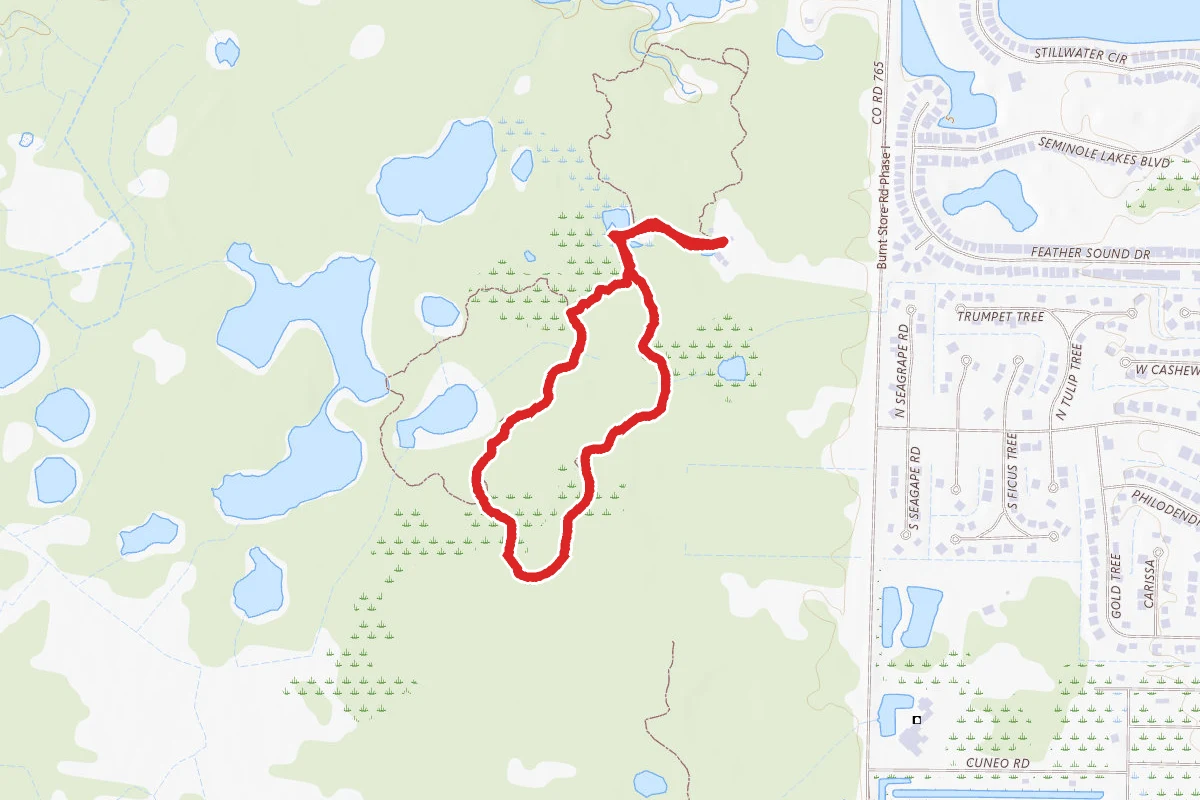 Pine Flatwoods Trail