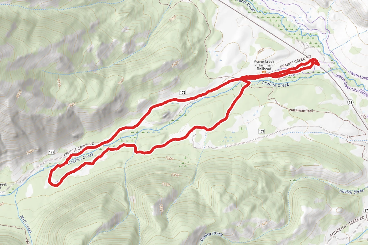 Praire Creek Loop
