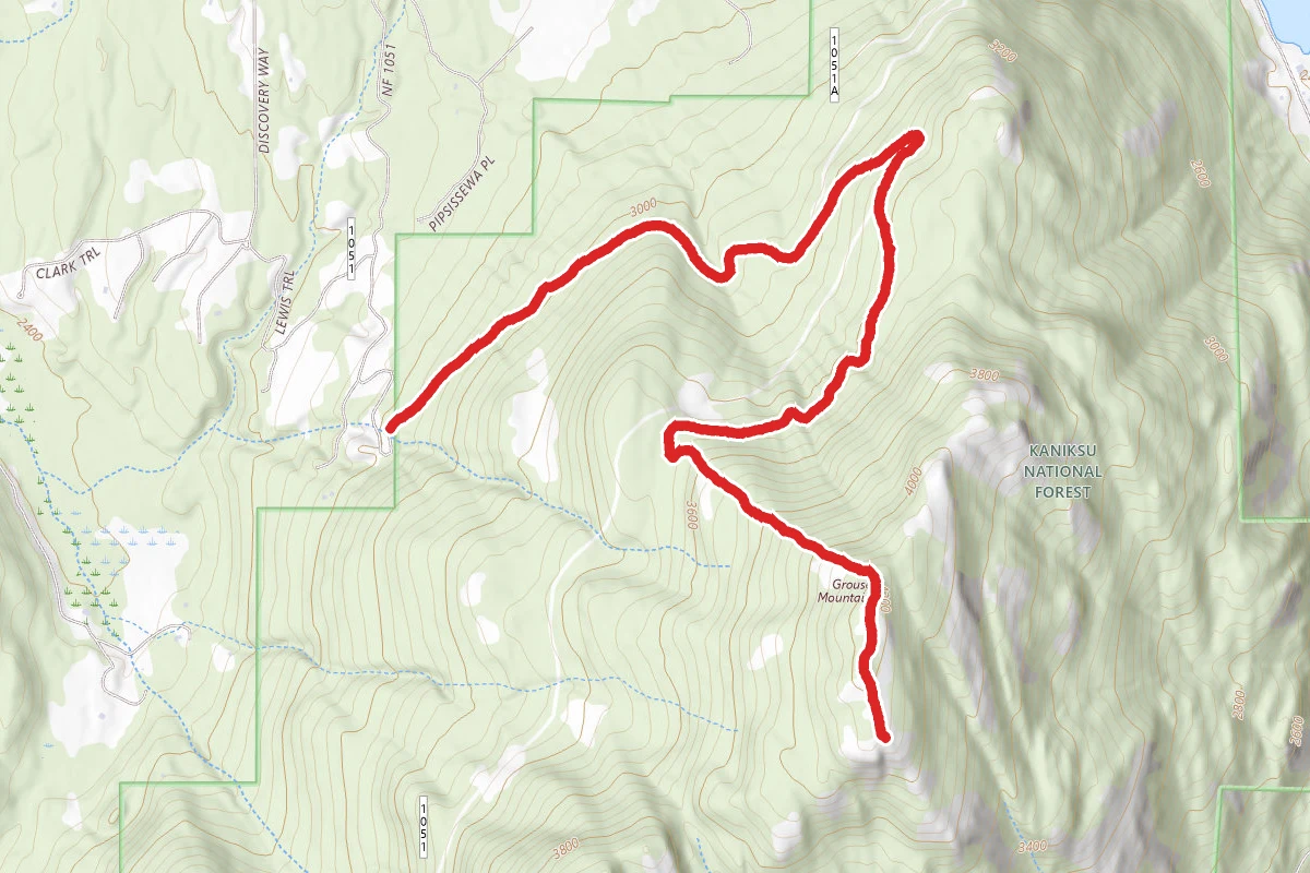 Grouse Mountain Trail