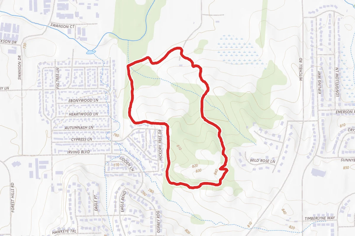 Kieselburg Forest Loop