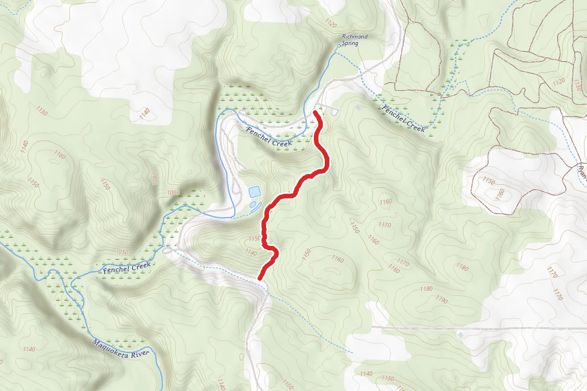 Barred Owl Trail