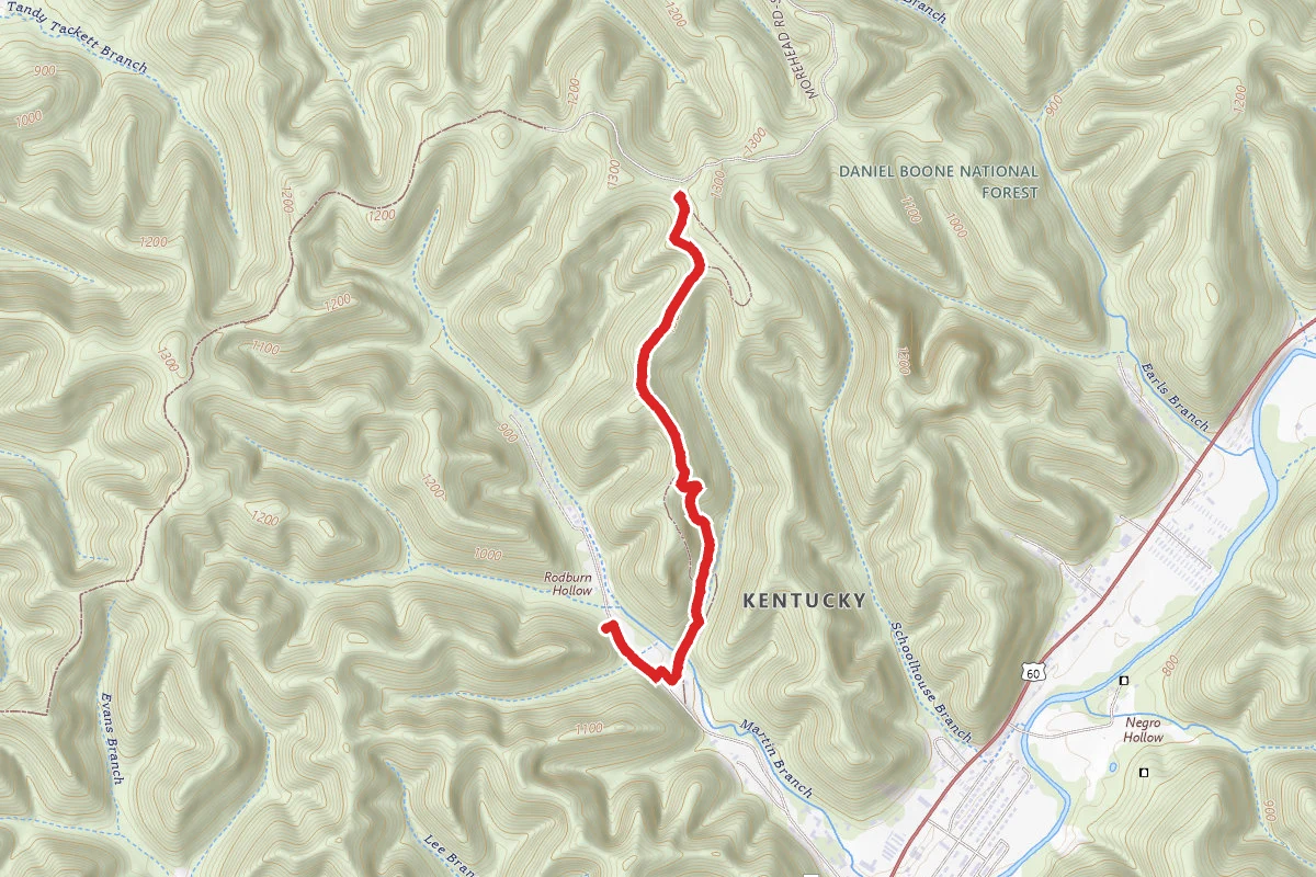 Martin’s Branch Trail #119