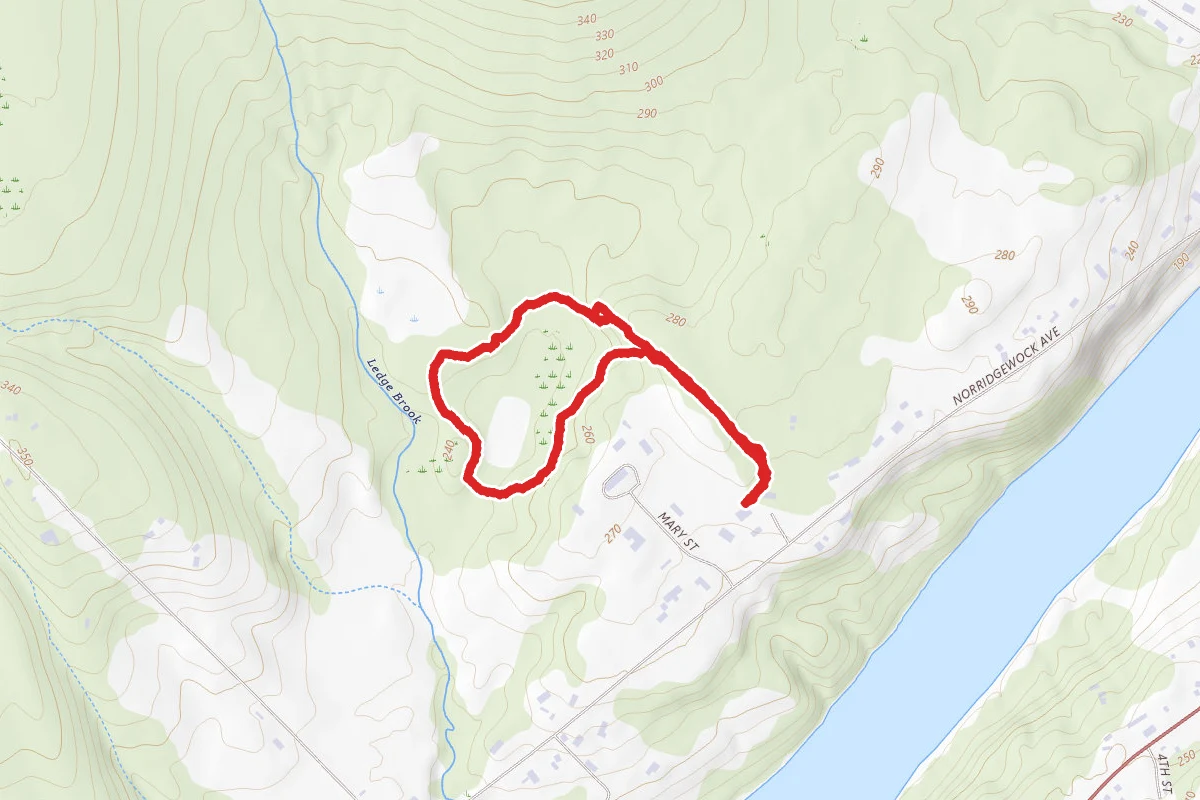 Yankee Woodlot Trail